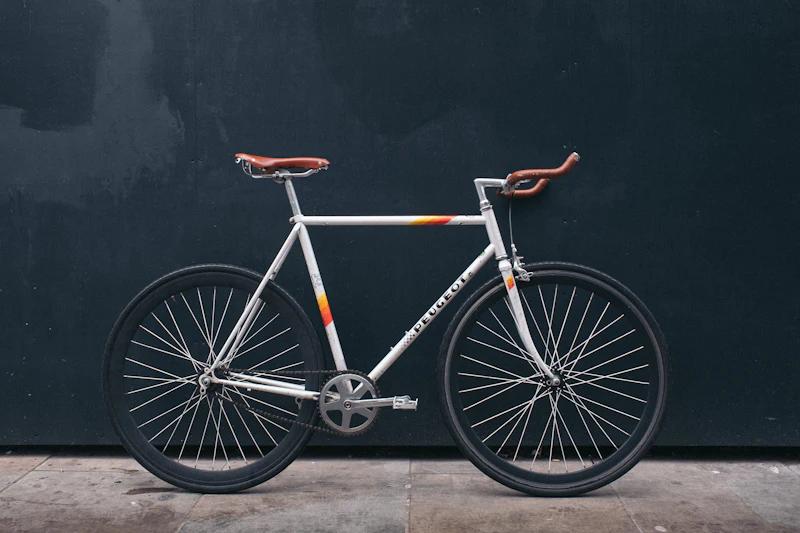 TrailBlaze 21-Speed Mountain Cycle